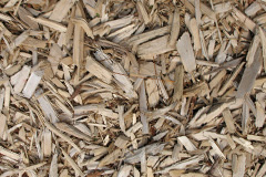 biomass boilers Chalksole
